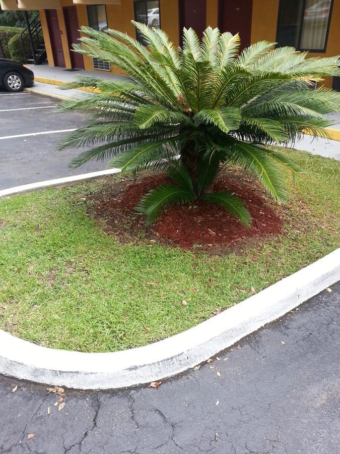 Howard Johnson By Wyndham Tallahassee Exterior foto